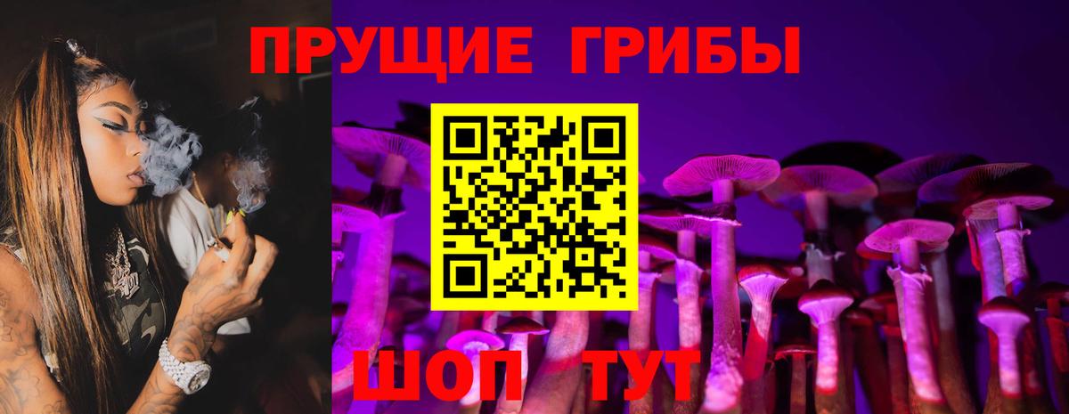 Псилоцибиновые грибы Cubensis  Галлюциногенные грибы Psilocybe  Бугуруслан  Вход с VPN 